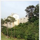 다람산공원 인라인스케이트장