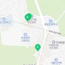 신흥애견센타 이미지