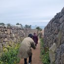 제주영상여행사 이미지