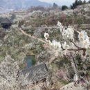 행정2길 이미지