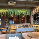 레이디벅스 이미지