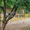 영동한울캠핑장 이미지