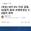 [속보] WTI 6% 이상 급등, 85달러 돌파-브렌트유는 90달러 육박 이미지