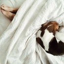 송이네농장 이미지