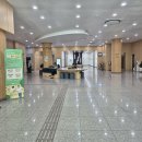 제너스PC 수원영통점 | 도서관이 이렇게까지 좋다고? 북수원도서관 솔직 후기. 수원 힐링 스팟 찾았다…