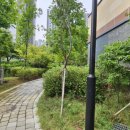 아주아파트(401동) 이미지