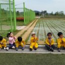 벌교스포츠센터 이미지