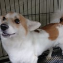 GS25 달서제네스점 이미지