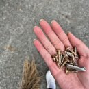 아미쿠스짐 | 17