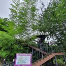 중문오렌지파크 이미지