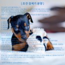 한국바이오젠(주) 이미지