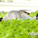 기포농장 이미지