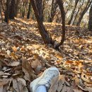 틴휘슬 | 은혜. 휘파람으로 찬양 은혜. 애우 .