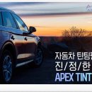 에이펙스라인 이미지