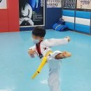 용인대석사튼튼태권도 네이버블로그