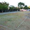 문화관광농원청소년야영장 이미지