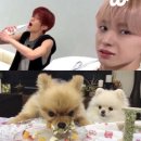 엔시티 위시 사녹 신청이 와 이래 힘들어