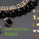 신비로-11 이미지