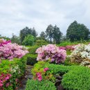 제주팜파스펜션 이미지