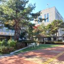 11월1일(토) 양재근린공원-서초길마중길 이미지