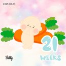 쉬크레마카롱 - 경산시 청운로 11 | 대구 수성점 디저트_경산카페 다이룬_쉬크레 마카롱 중구점 배달후기_출산전 마지막 근무_수성성당주말...