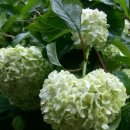 수자원농장 이미지