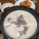 거대곰탕서면점