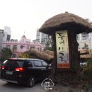 두메산골터줏대감 이미지