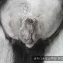 헬리오동물병원 이미지