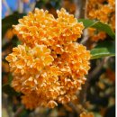 농원농산 이미지