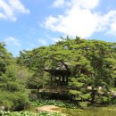 보길윤선도원림 이미지