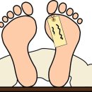주식회사 하이닥