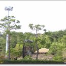 관석 Daum카페