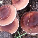 금정농장 이미지