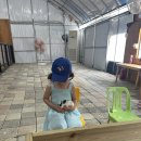 쉴만한강가 | 양평 아이랑 가볼만한곳 추천｜실내·실외 모두 즐기는 신상 동물체험농장 소풍 후기