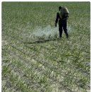 현대종묘사 이미지