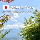 [공지] 도쿄 3박4일 일정 경비 엑셀 공유 여행 코스 후지산 투어 포함