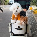 속리산아트힐링센터 이미지