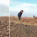 재령농장 이미지