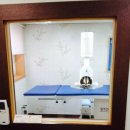 월드부산의원 이미지