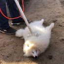 진실농장 이미지