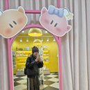 원도안로-17 | 대전여행 당일치기 성심당 대전트래블라운지 신도칼국수 정동문화사 유니클로둔산점 꿈돌이티셔츠...