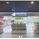 스노우폭스플라워교보
