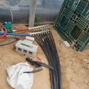 명품농장 이미지