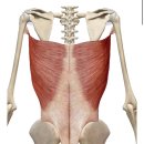 더젠병원 | 계룡PT 계룡헬스장 우리는 운동 전문가입니다.