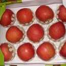 예슬이네 이미지