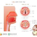 말하다가 삑사리 나고,점점 고음이 안되고,목소리가 쉬어? 삶의 질을 너무 떨어트리는 성대결절 완화 방법 이미지