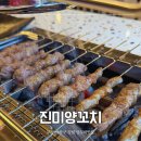 진미양꼬치 | 부산 사하구 장림 양꼬치 맛집 진미양꼬치 모둠양꼬치 후기