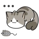 쌍용자동차수원영업소 이미지