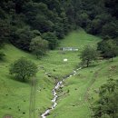 흑염소마루 이미지